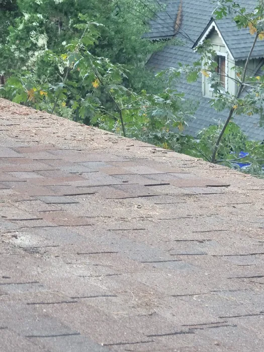 Colon Prestige Roofing Picture 6