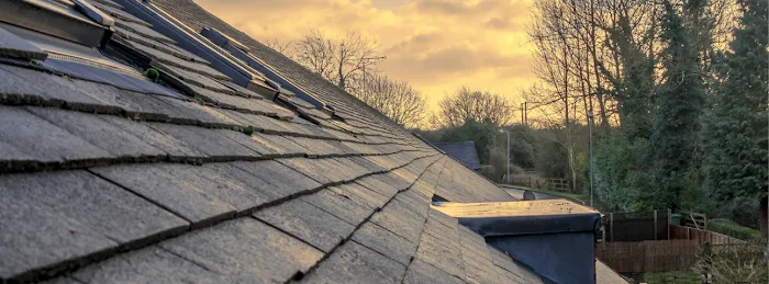 Morning Light Roof Repair Picture 1