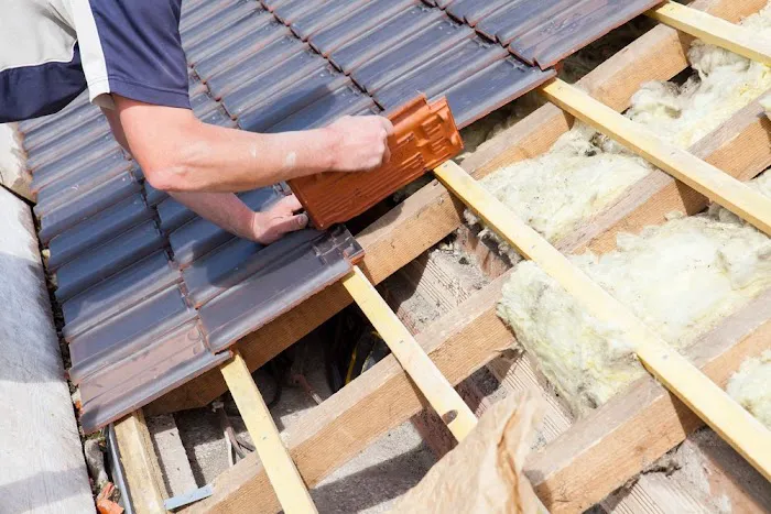 Morning Light Roof Repair Picture 2