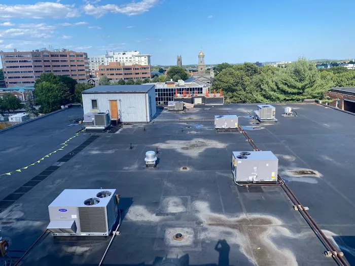 Top Quality Roofing Picture 8