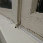 Cba Blessed Construction Inc