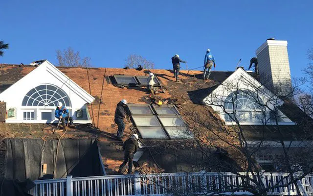 Preserve Services Picture 9