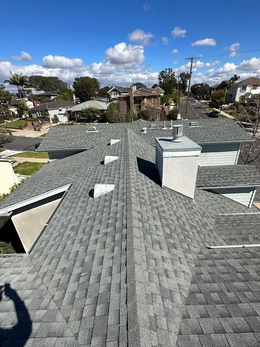 Skyline Energy Roofing Picture 7