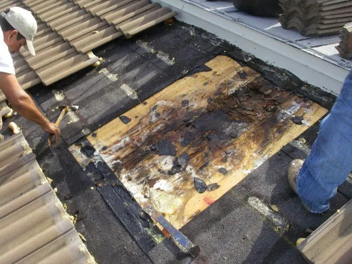 Atkins Roofing and Roof Repair Picture 3