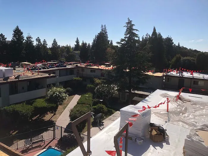 Single Ply Roofing Experts Picture 3