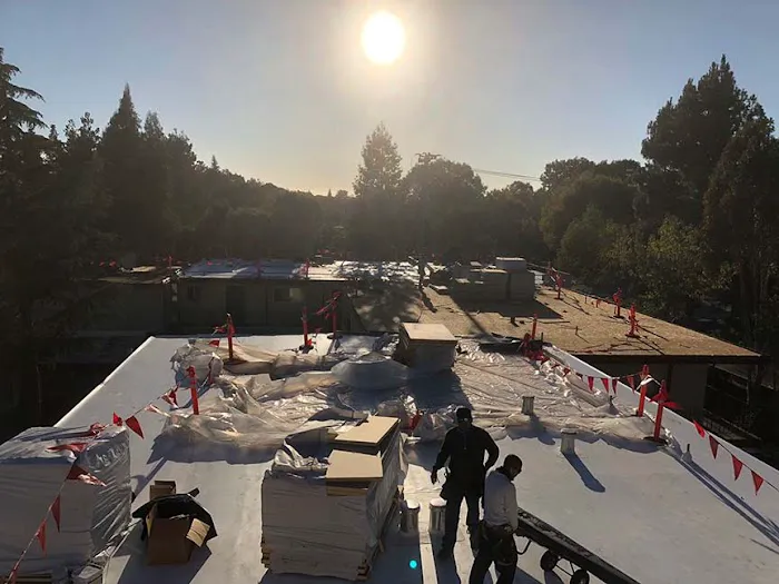 Single Ply Roofing Experts Picture 4