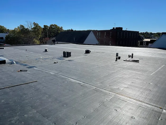 The Roof Kings Picture 4