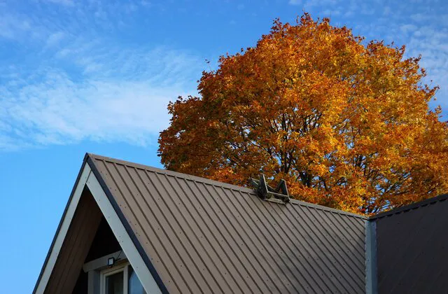 Luna Roofing Picture 4