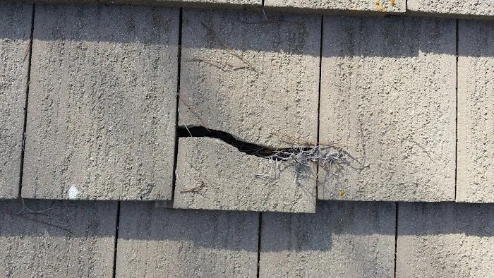 Extreme Roofing Picture 7