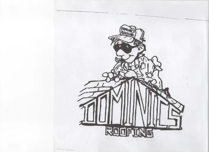Dominic's Roofing Picture 5