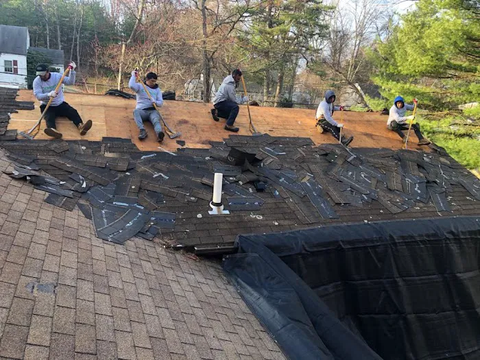 Emmaty Exteriors Picture 7