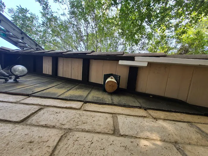 Mr Patchman Roofing Co Picture 4
