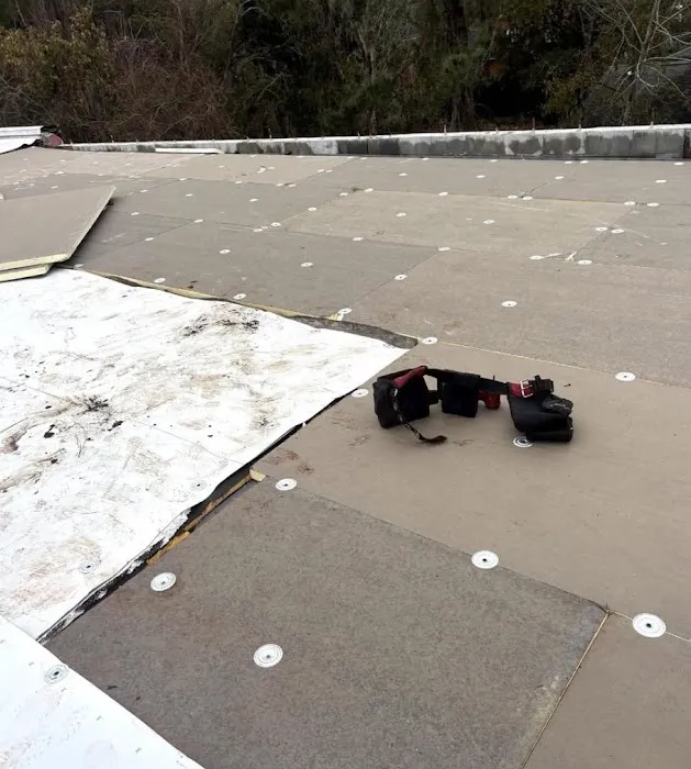 Master Seal Roofing Picture 1