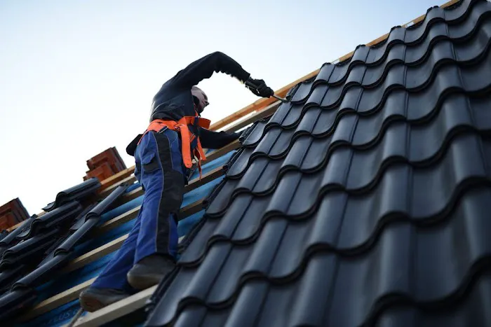 LYJ Roofing Picture 4