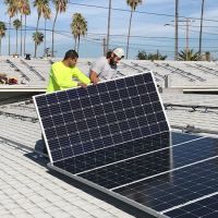 Go Green ico