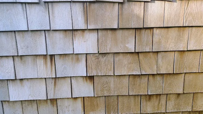 South Coast Shingle Savers Picture 3