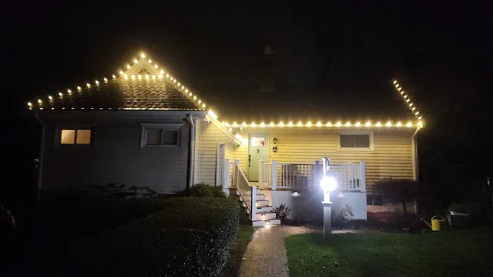 South Coast Shingle Savers Picture 5