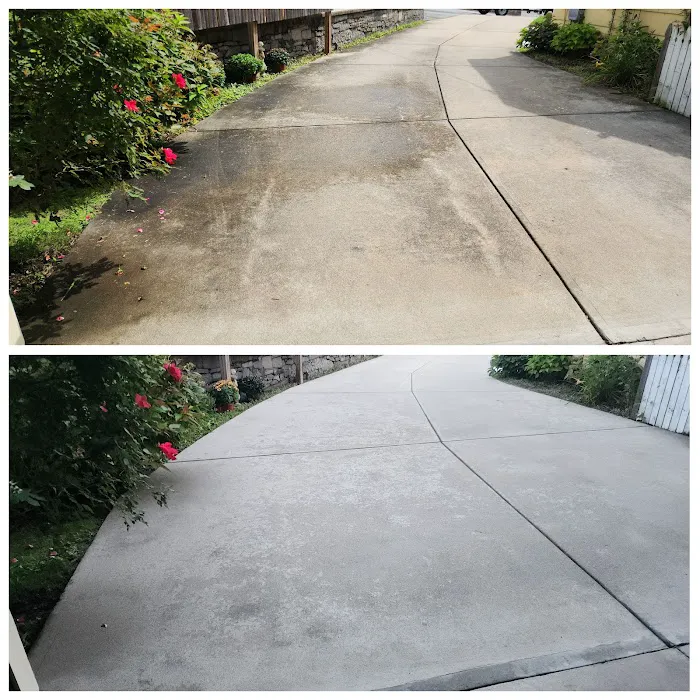 South Coast Shingle Savers Picture 7