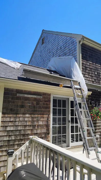 South Coast Shingle Savers Picture 8