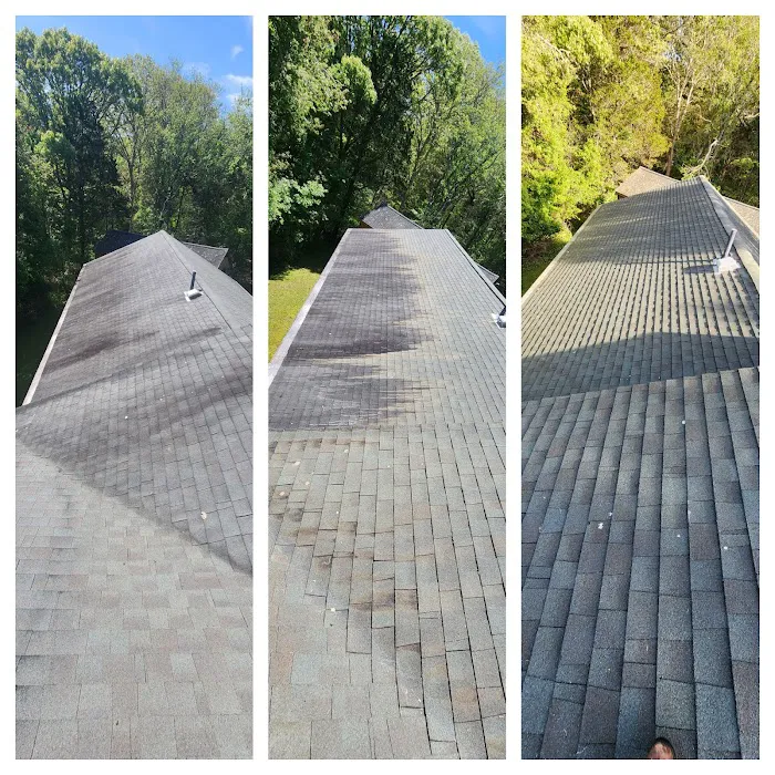 South Coast Shingle Savers Picture 10