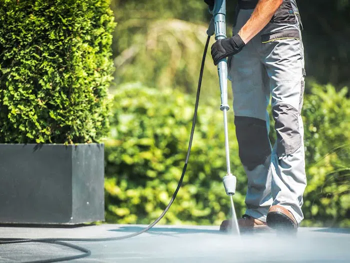 South Coast Shingle Savers Picture 9