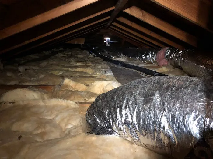 Rafael And Iris Roofing Picture 1