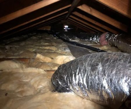 Rafael And Iris Roofing