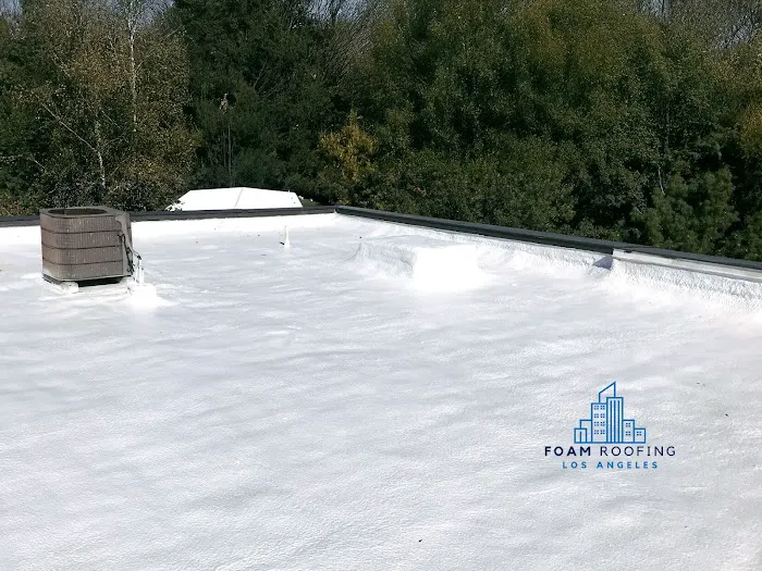 Foam Roofing Los Angeles Picture 7