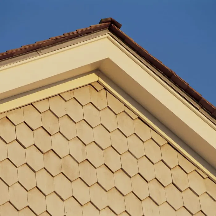 Tim's Fast Repair Leak Roofing Picture 2