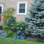 Master Siding Installing Inc.