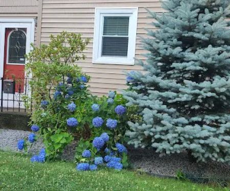 Master Siding Installing Inc.