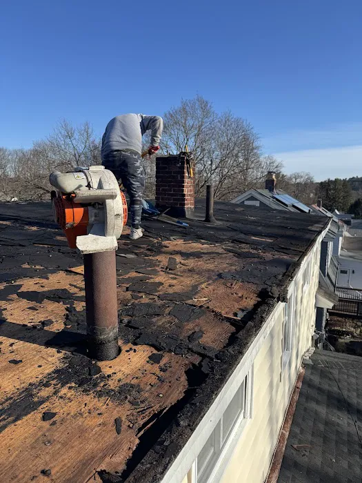 Pinkman Roofing Picture 4