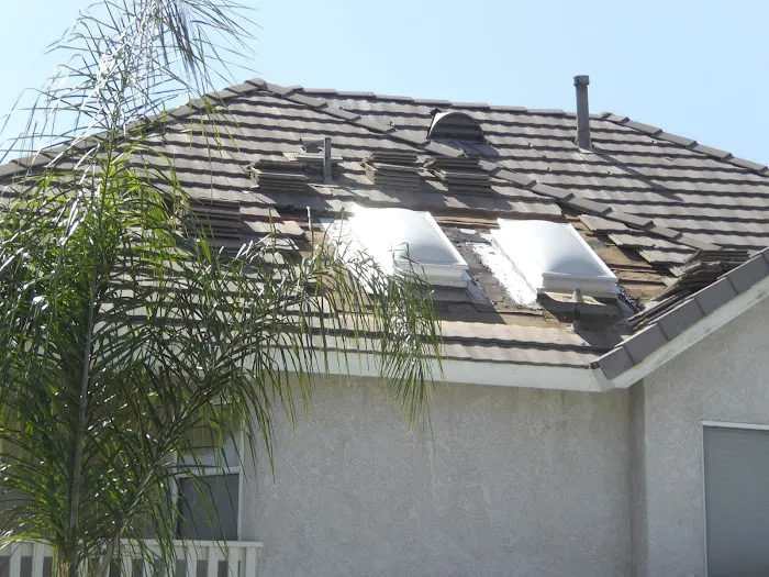 My Roof Tech Picture 3