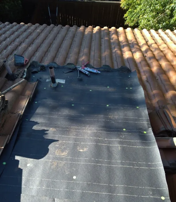 COLLINS ROOFING & REPAIR Picture 4