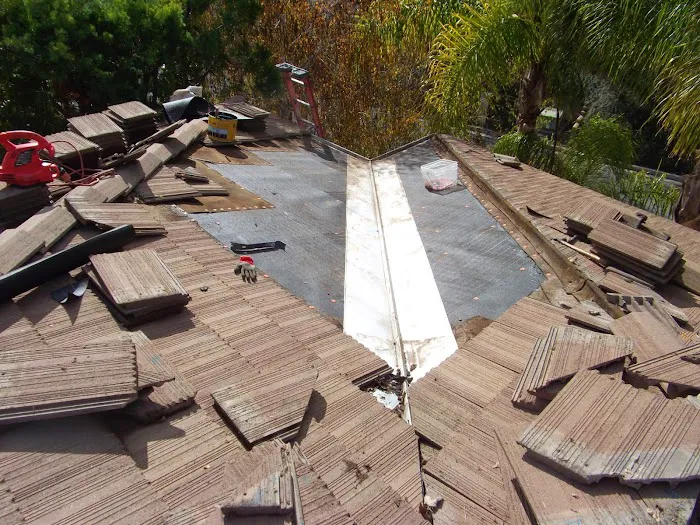 South County Roofing and Roof Leak Repair Picture 3