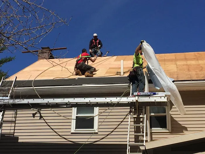 Twin Metals Roofing Picture 7