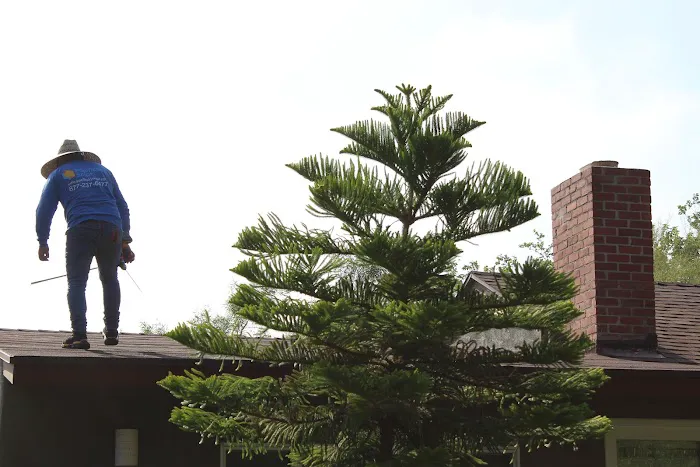 Helios Roofing And Solar Picture 5