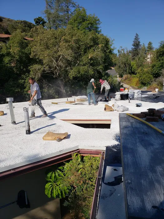 AP Roofing Picture 4