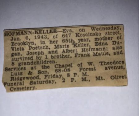 Sneade Brothers Windows-Siding