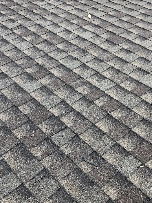 JVZ Roofing Picture 6