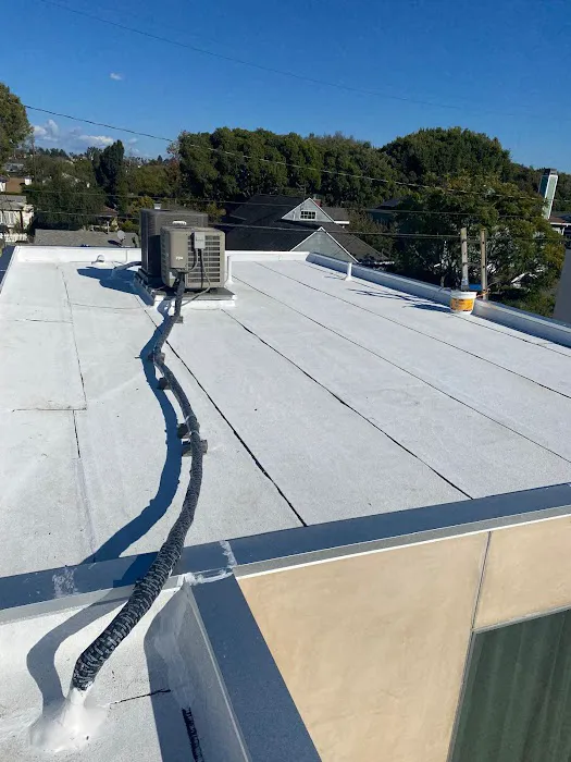 LA Roof Masters Service Picture 5