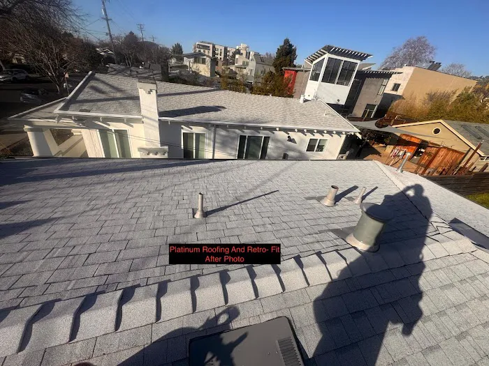 Platinum Roofing and Retro-Fit Picture 8