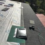 Mold Halt Pro Roofing Services