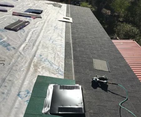 Mold Halt Pro Roofing Services