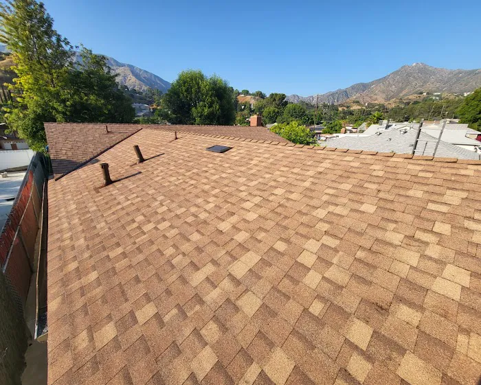 DM Roofing Inc Picture 8