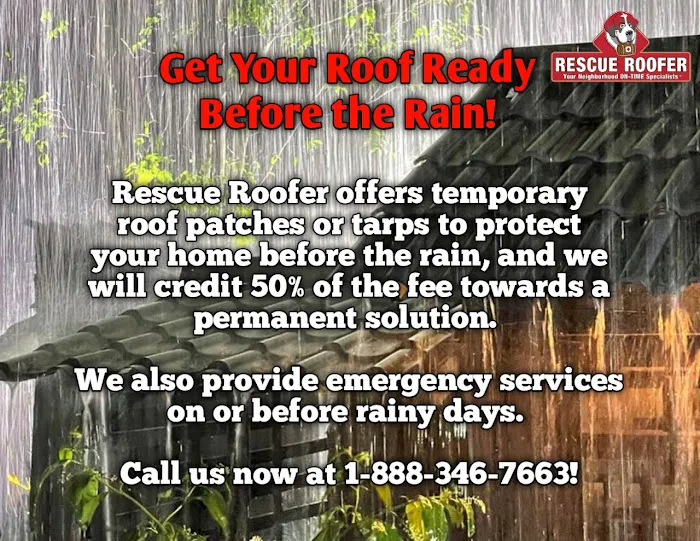 RESCUE ROOFER Laguna Beach Picture 3