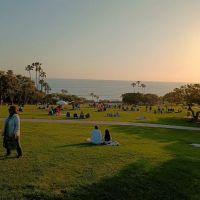 Dana Point Roofing ico