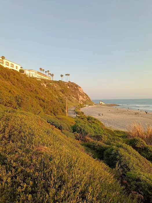 Dana Point Roofing Picture 6