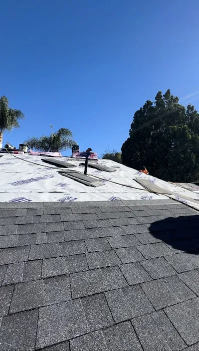 Option One Roofing Picture 7