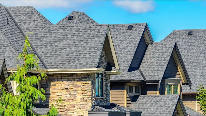 Top Roofing Contractor Picture 2